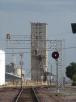Towering Over An All Red Siding